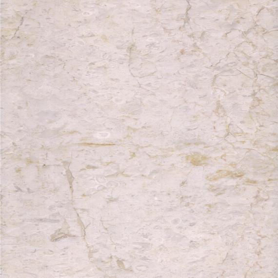 pedra de mármore fossilífero bege para aplicação interior