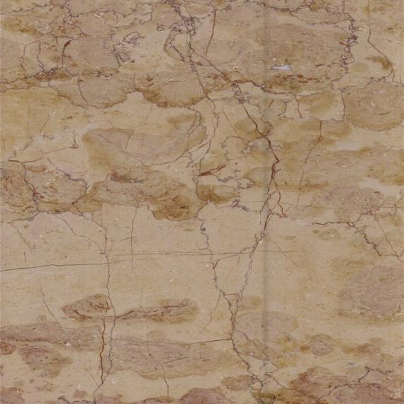 melhor parede de luxo de mármore do piso superior de fósseis