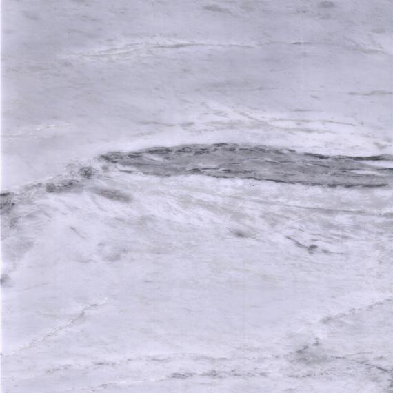 teste padrão veado cinzento de mármore atordoamento branco