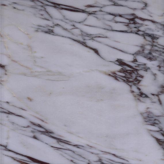 mármore branco veado do elegat para interno